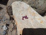 Terp Beads Pink 6mm (Quartz) Round