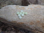 Terp Beads 10mm Green Round